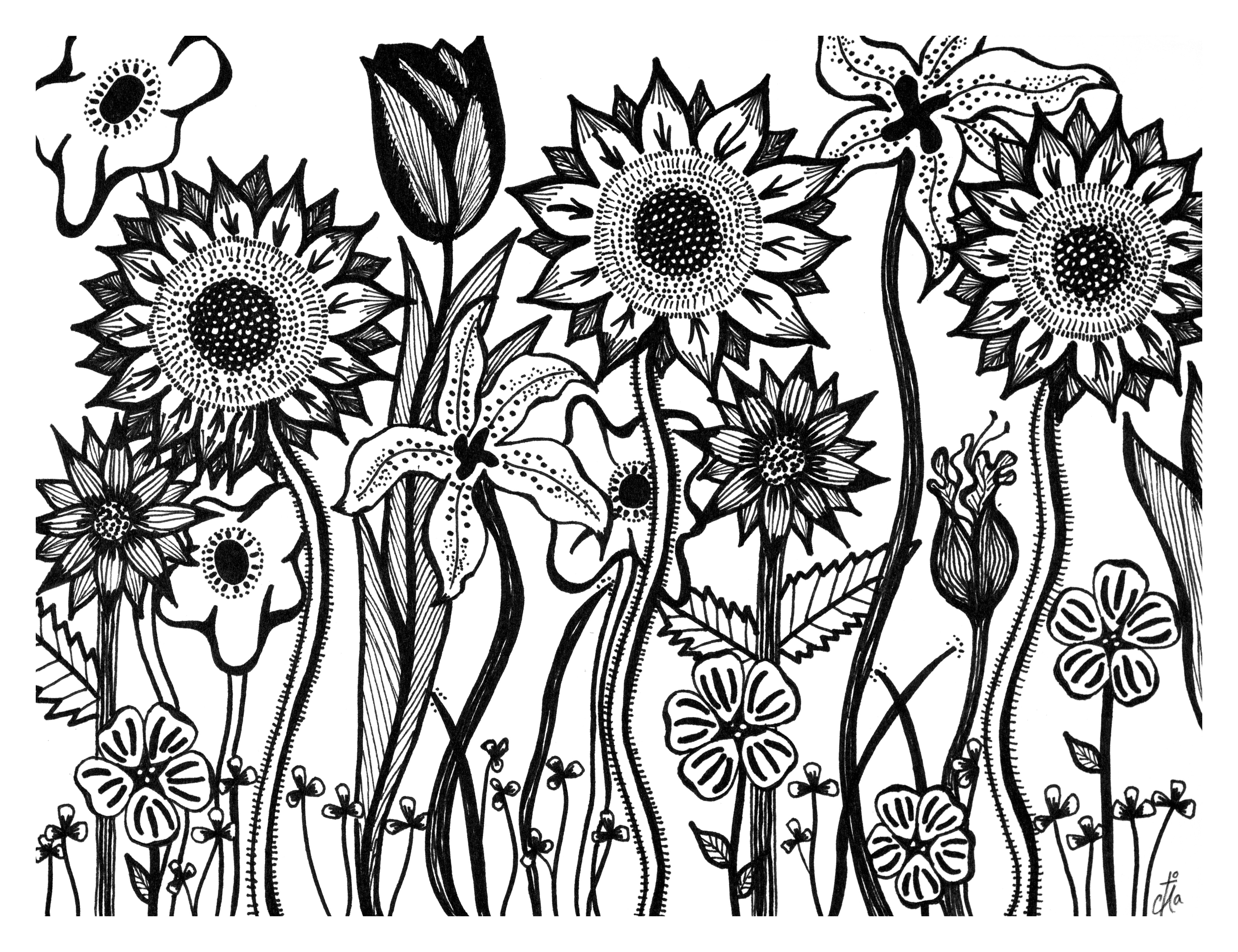 Sunflowers Drawing Tumblr